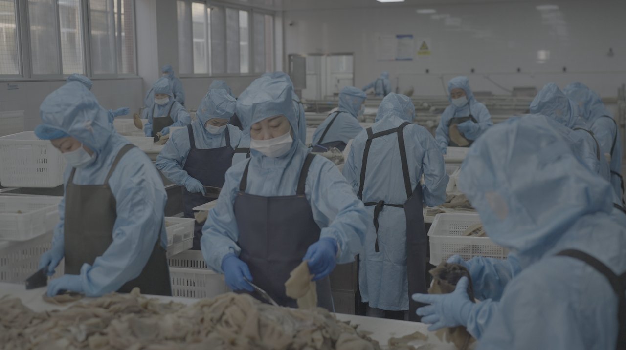 欢迎来周炜,看一座“敢开门”的毛肚工厂