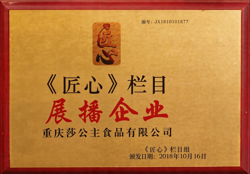 匠心栏目展播企业